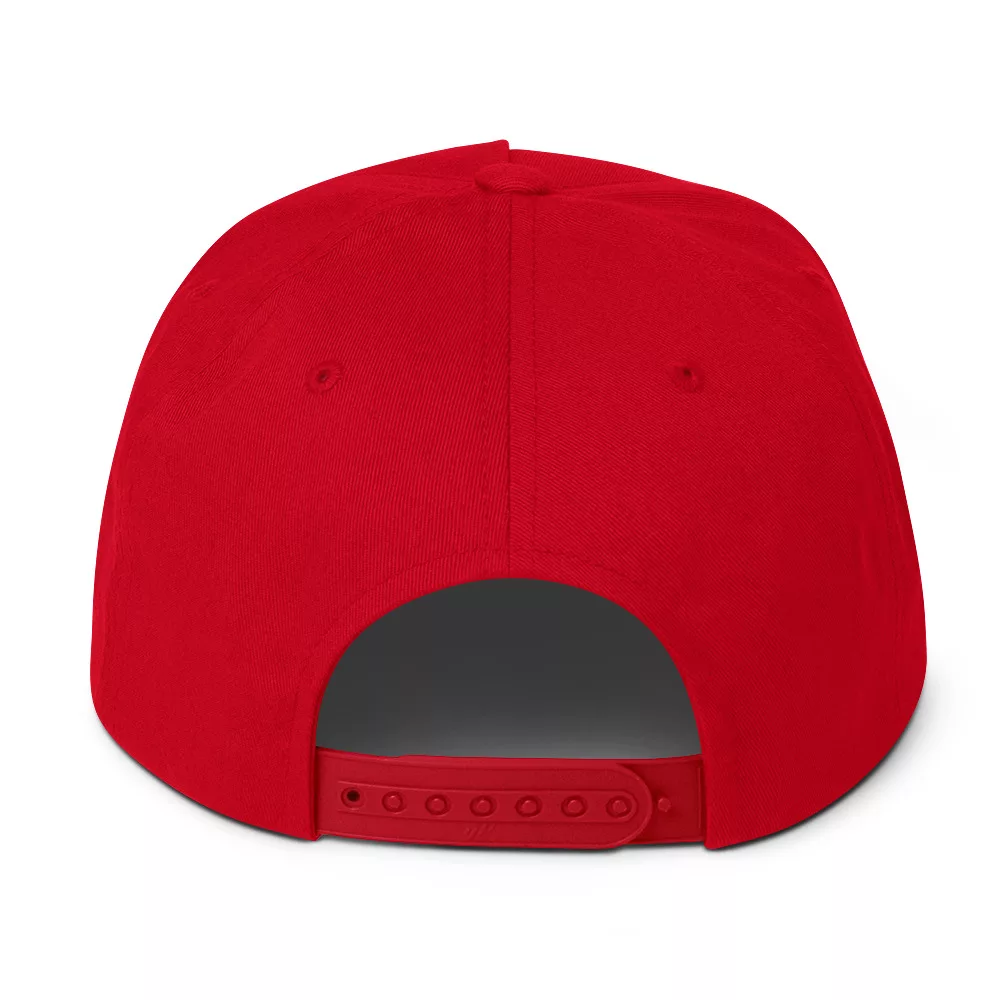 Tagona Press Flat Bill Hat - Image 20