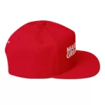 Make Books Great Again Flat Bill Cap - Image 20