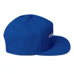 Tagona Press Flat Bill Hat - Image 15