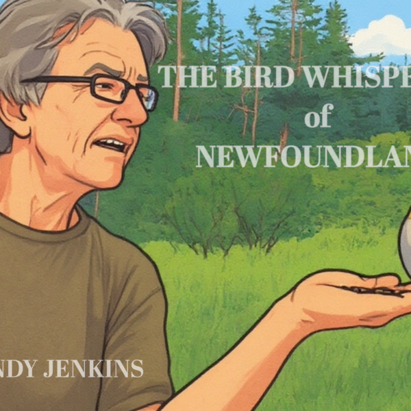 Randy Jenkins feeding a Pine Grosbeak