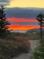 'Bird Whisperer of Newfoundland': The Randy Jenkins Story - Image 6